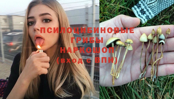 дурь Богданович