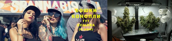 трава Богородск