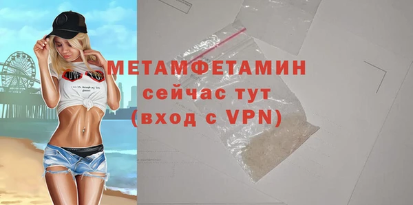 прущие грибы Белокуриха