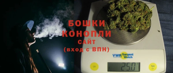 прущие грибы Белокуриха